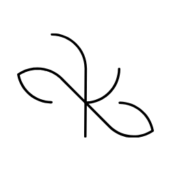 prekursorka DBT psychodietetyka
